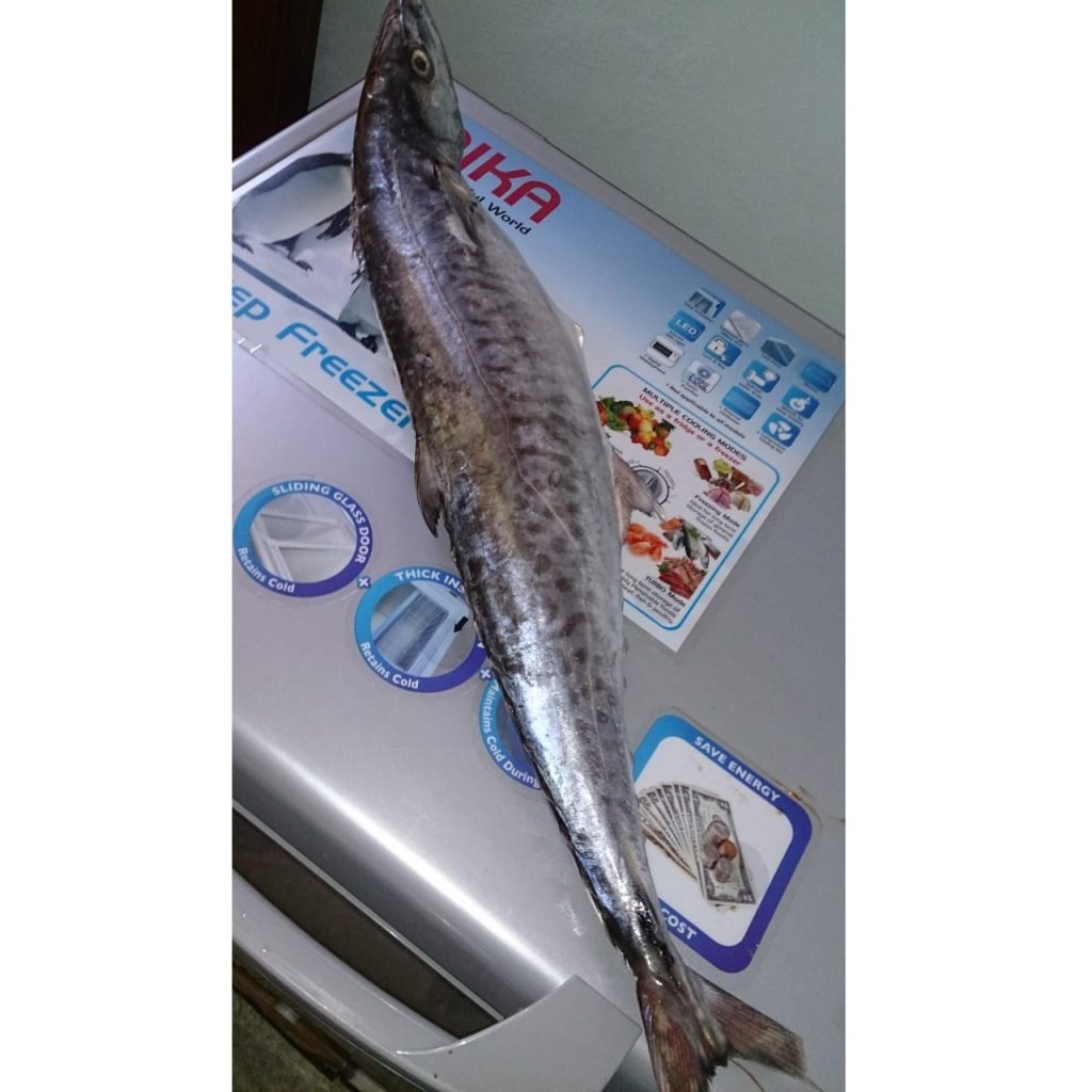 Laneri – Fresh Sea food Distributors